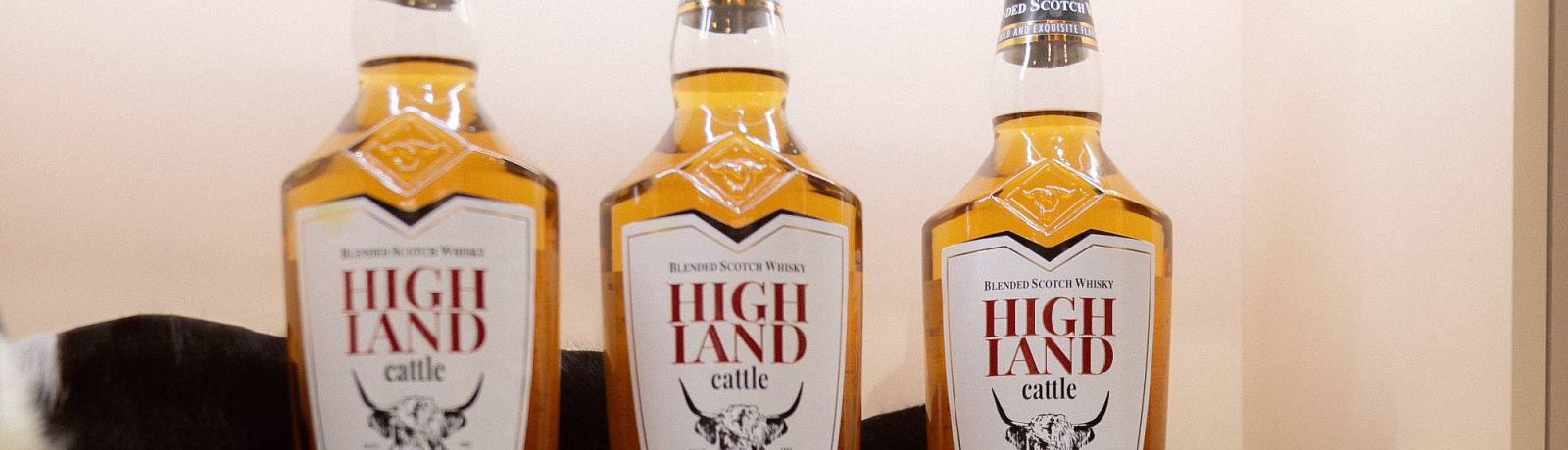 Свобода быть: попробуйте шотландский виски HIGHLAND CATTLE