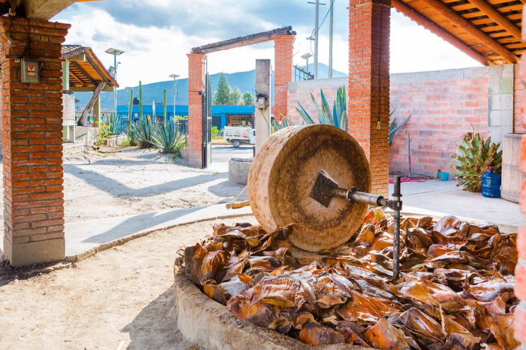 shutterstock_1234758058.t608B.jpg shutterstock_1234758058.t608B.jpg